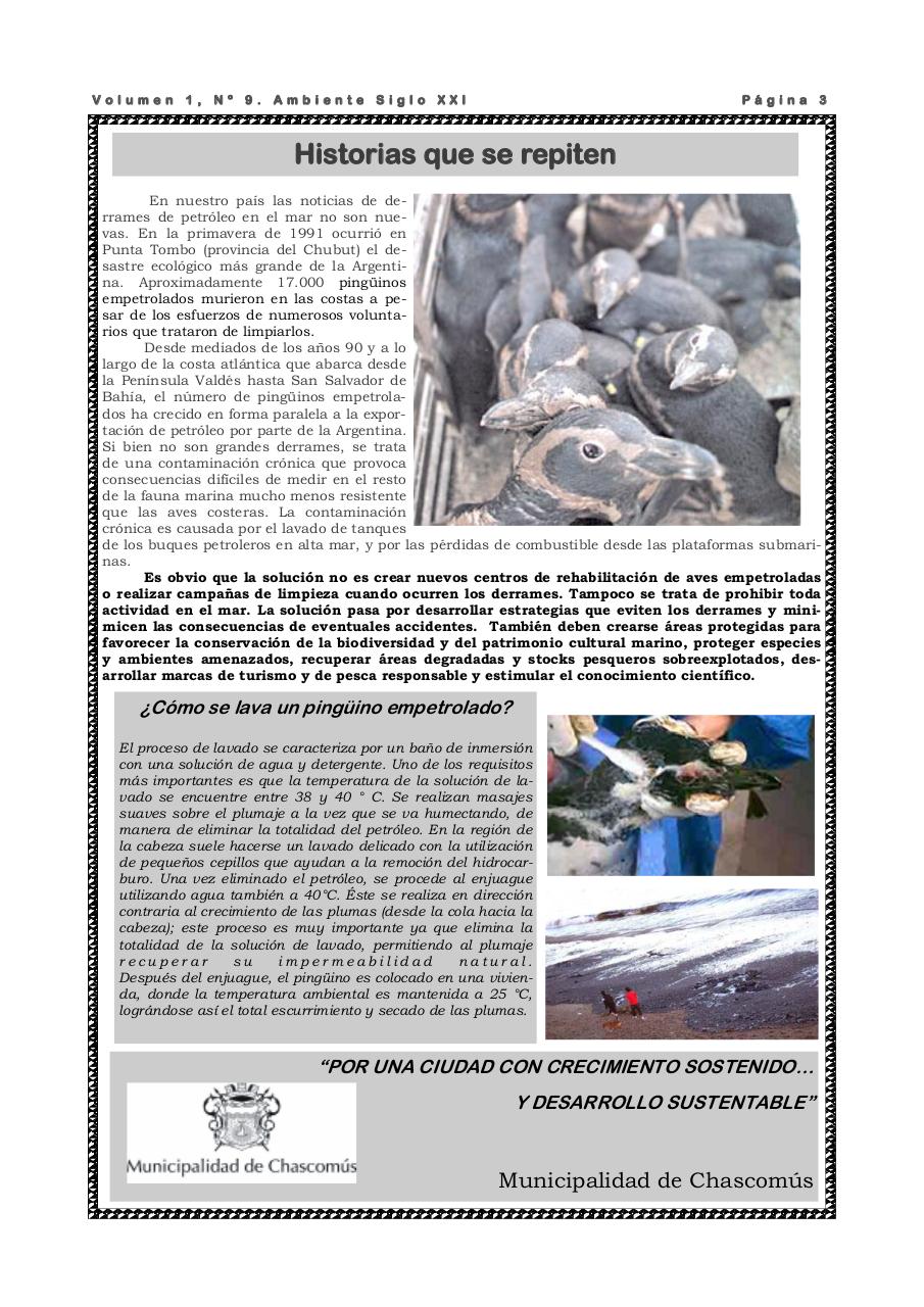 Vista previa del archivo PDF revista-ambiente-siglo-xxi-n-09-enero-2008.pdf