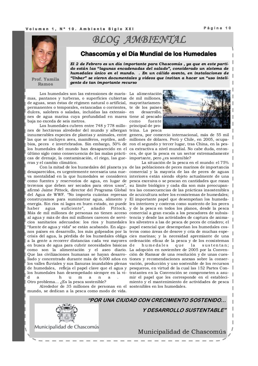 Vista previa del archivo PDF revista-ambiente-siglo-xxi-n-10-febrero-2008.pdf
