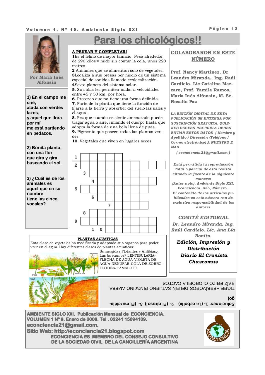 Vista previa del archivo PDF revista-ambiente-siglo-xxi-n-10-febrero-2008.pdf