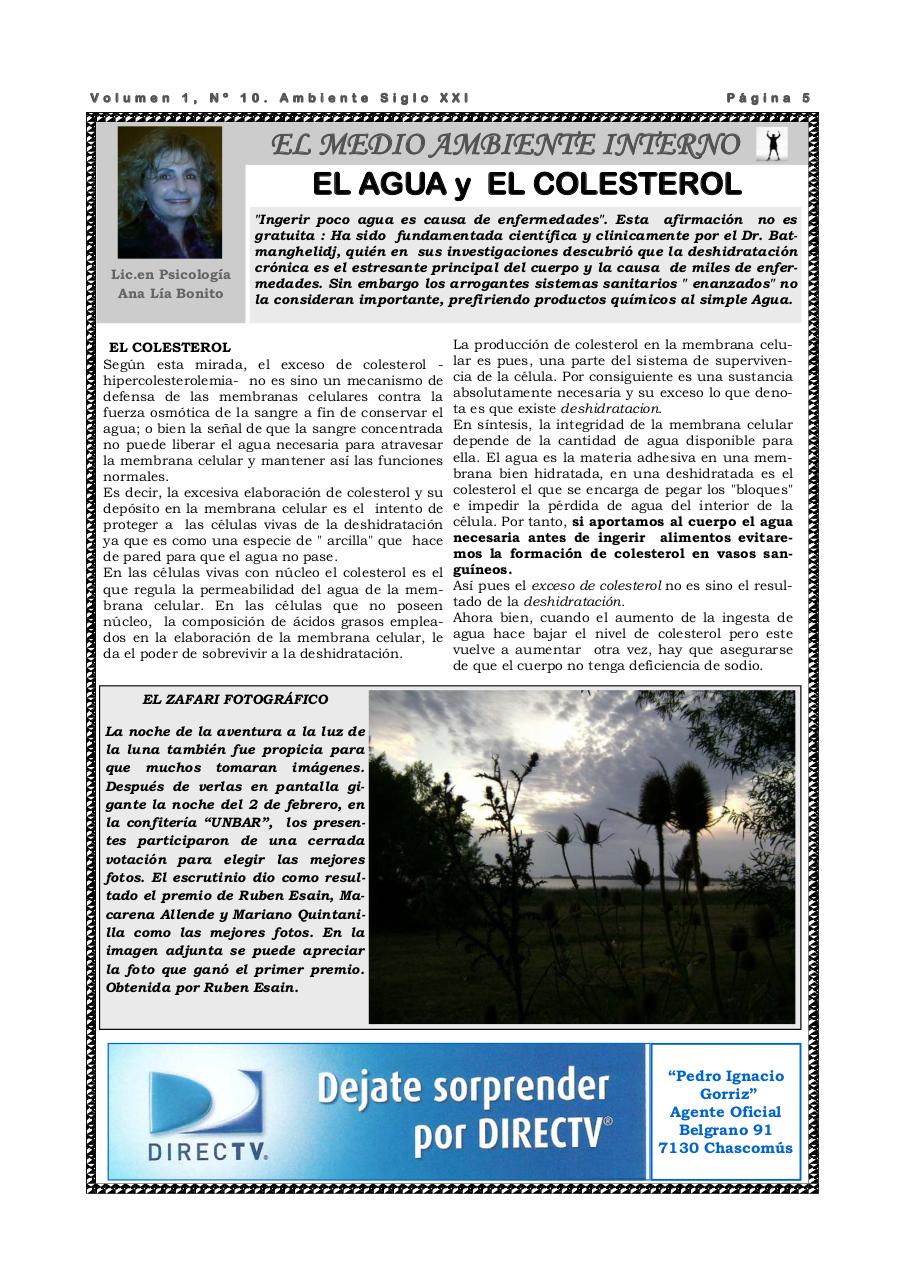 Vista previa del archivo PDF revista-ambiente-siglo-xxi-n-10-febrero-2008.pdf