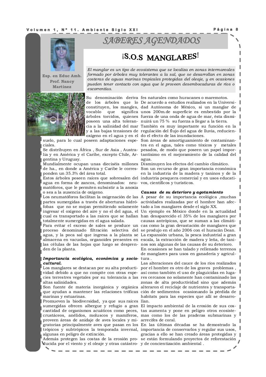 Vista previa del archivo PDF revista-ambiente-siglo-xxi-n-11-marzo-2008.pdf
