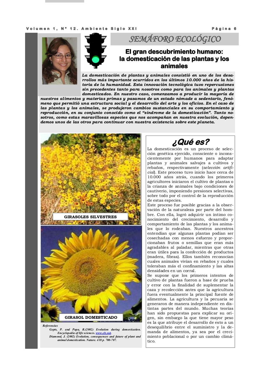 Vista previa del archivo PDF revista-ambiente-siglo-xxi-n-12-abril-2008.pdf