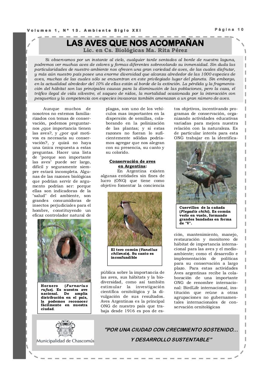 Vista previa del archivo PDF revista-ambiente-siglo-xxi-n-13-mayo-2008.pdf