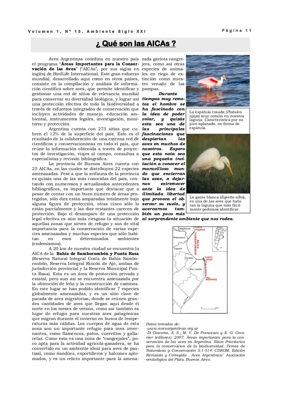 Vista previa del archivo PDF revista-ambiente-siglo-xxi-n-13-mayo-2008.pdf