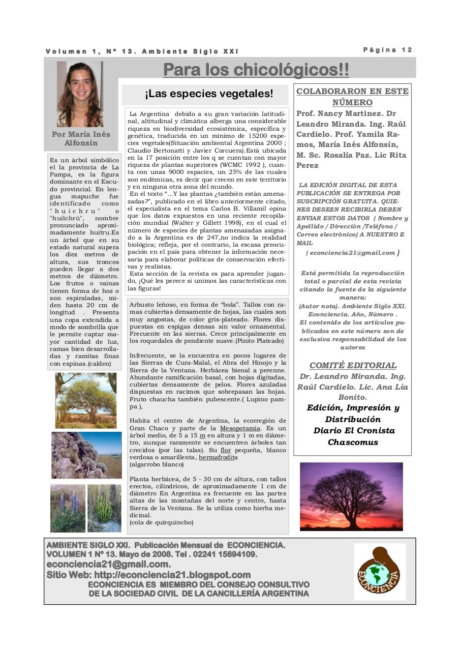 Vista previa del archivo PDF revista-ambiente-siglo-xxi-n-13-mayo-2008.pdf