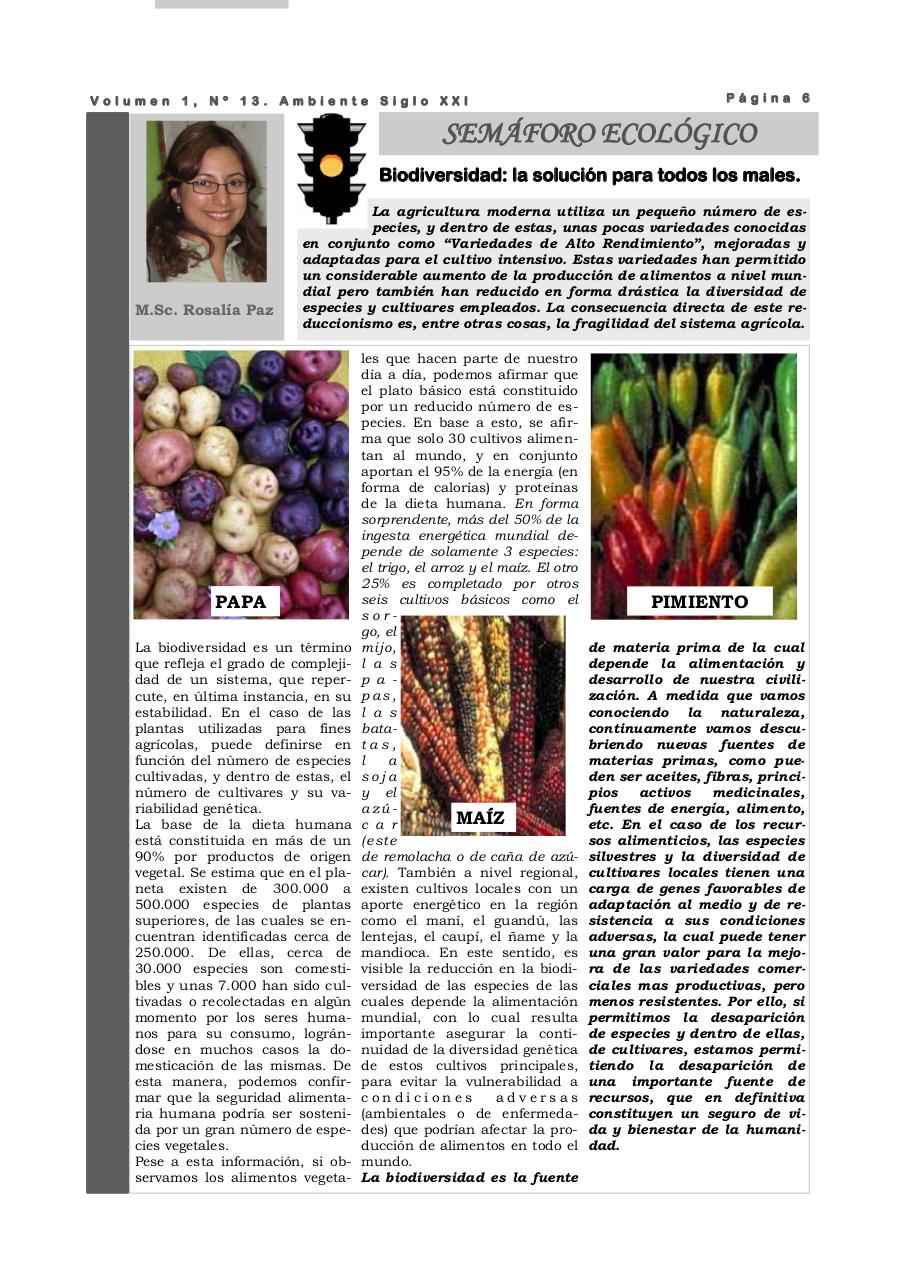 Vista previa del archivo PDF revista-ambiente-siglo-xxi-n-13-mayo-2008.pdf