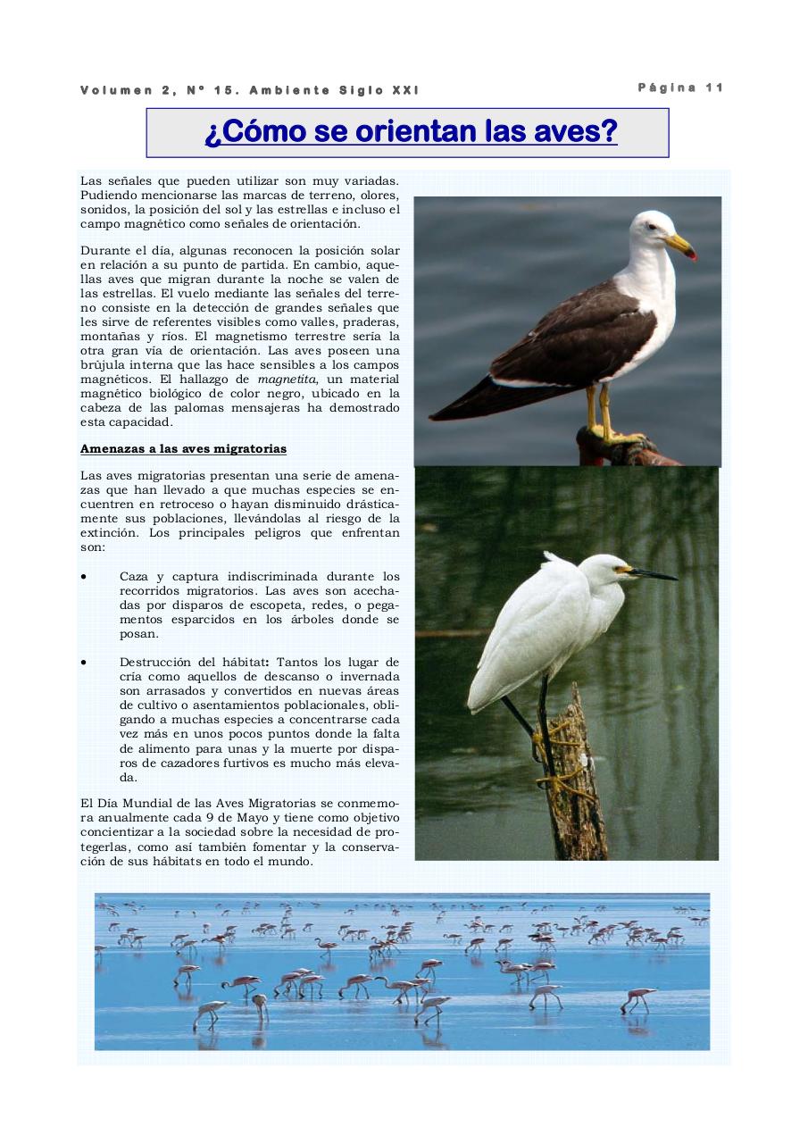 Vista previa del archivo PDF revista-ambiente-siglo-xxi-n-15-julio-2008.pdf