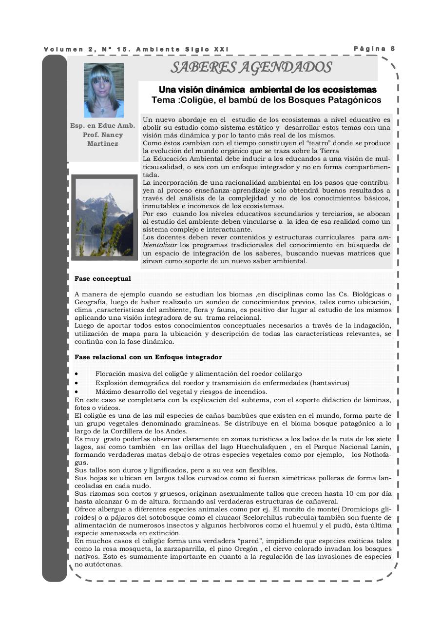 Vista previa del archivo PDF revista-ambiente-siglo-xxi-n-15-julio-2008.pdf