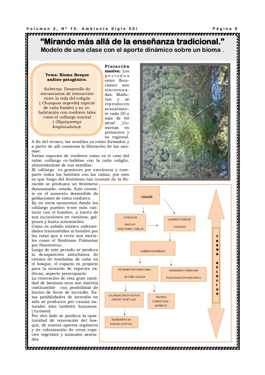 Vista previa del archivo PDF revista-ambiente-siglo-xxi-n-15-julio-2008.pdf