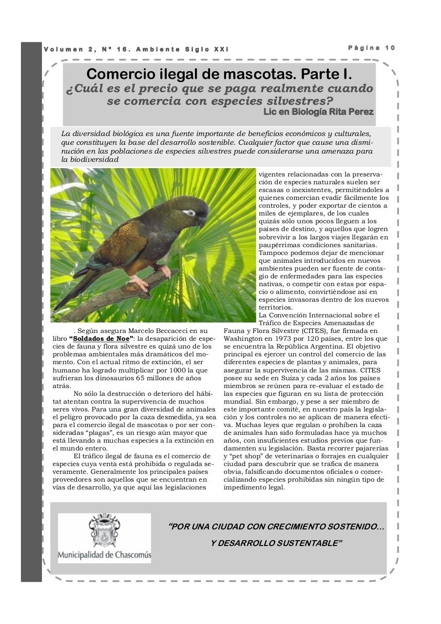 Vista previa del archivo PDF revista-ambiente-siglo-xxi-n-16-agosto-2008.pdf