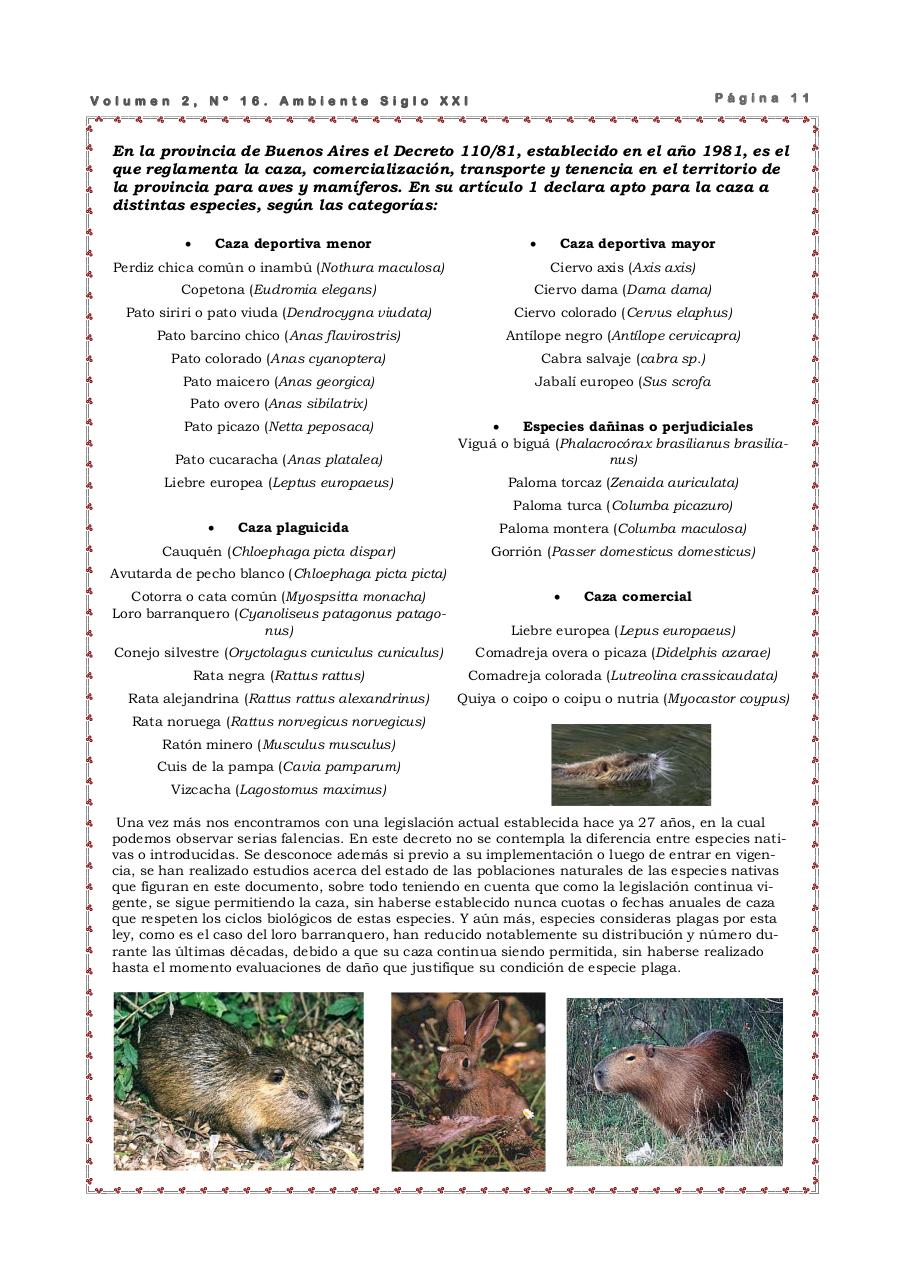 Vista previa del archivo PDF revista-ambiente-siglo-xxi-n-16-agosto-2008.pdf