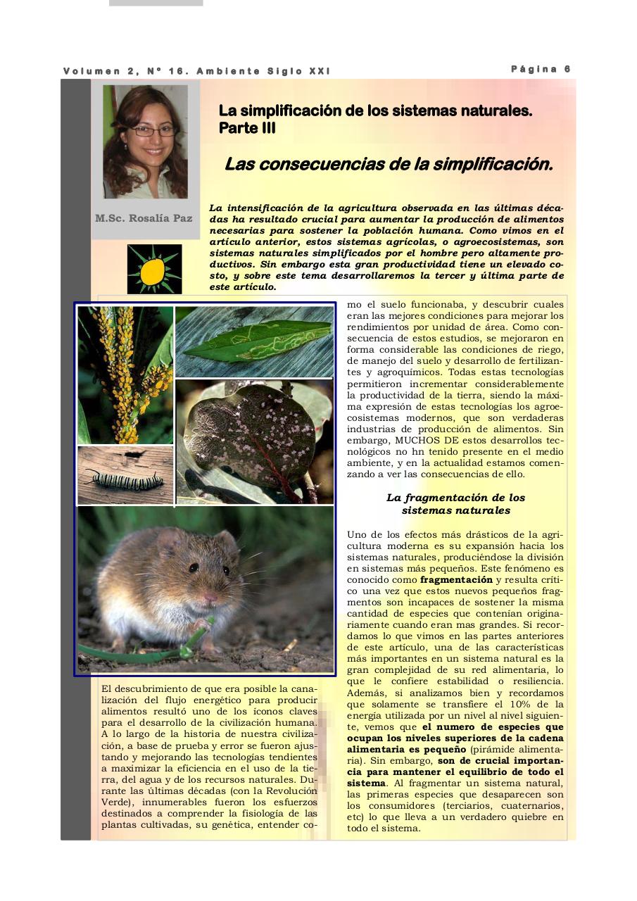 Vista previa del archivo PDF revista-ambiente-siglo-xxi-n-16-agosto-2008.pdf