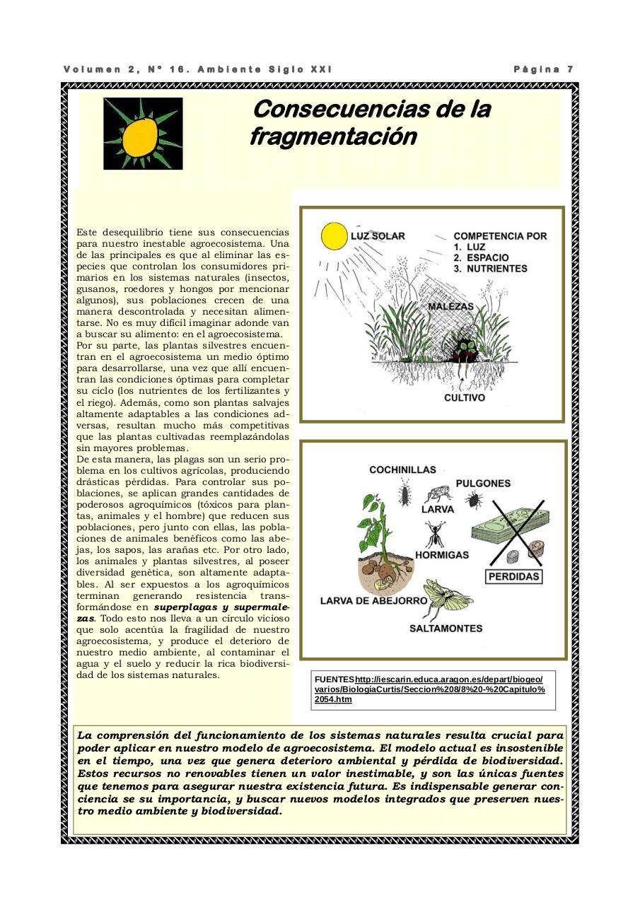 Vista previa del archivo PDF revista-ambiente-siglo-xxi-n-16-agosto-2008.pdf