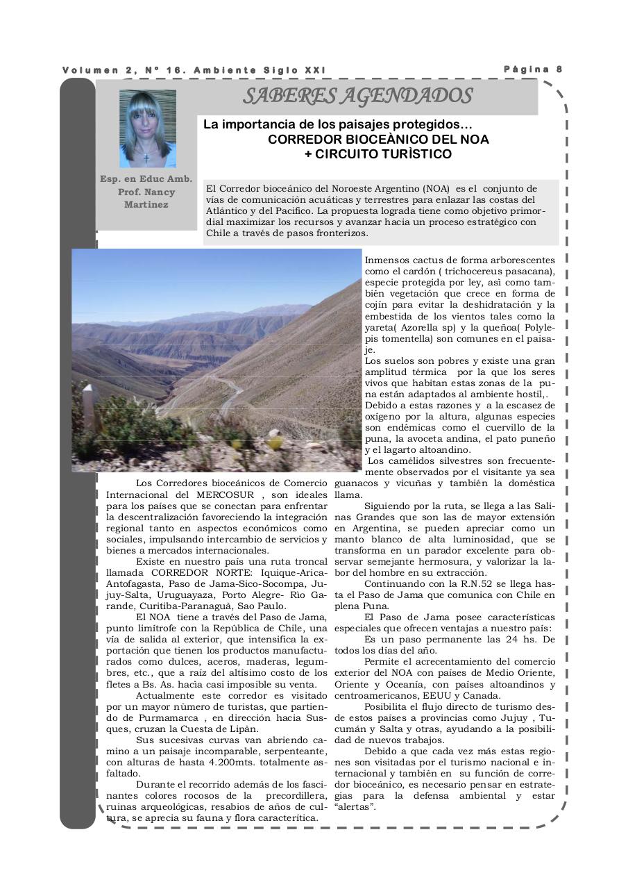 Vista previa del archivo PDF revista-ambiente-siglo-xxi-n-16-agosto-2008.pdf