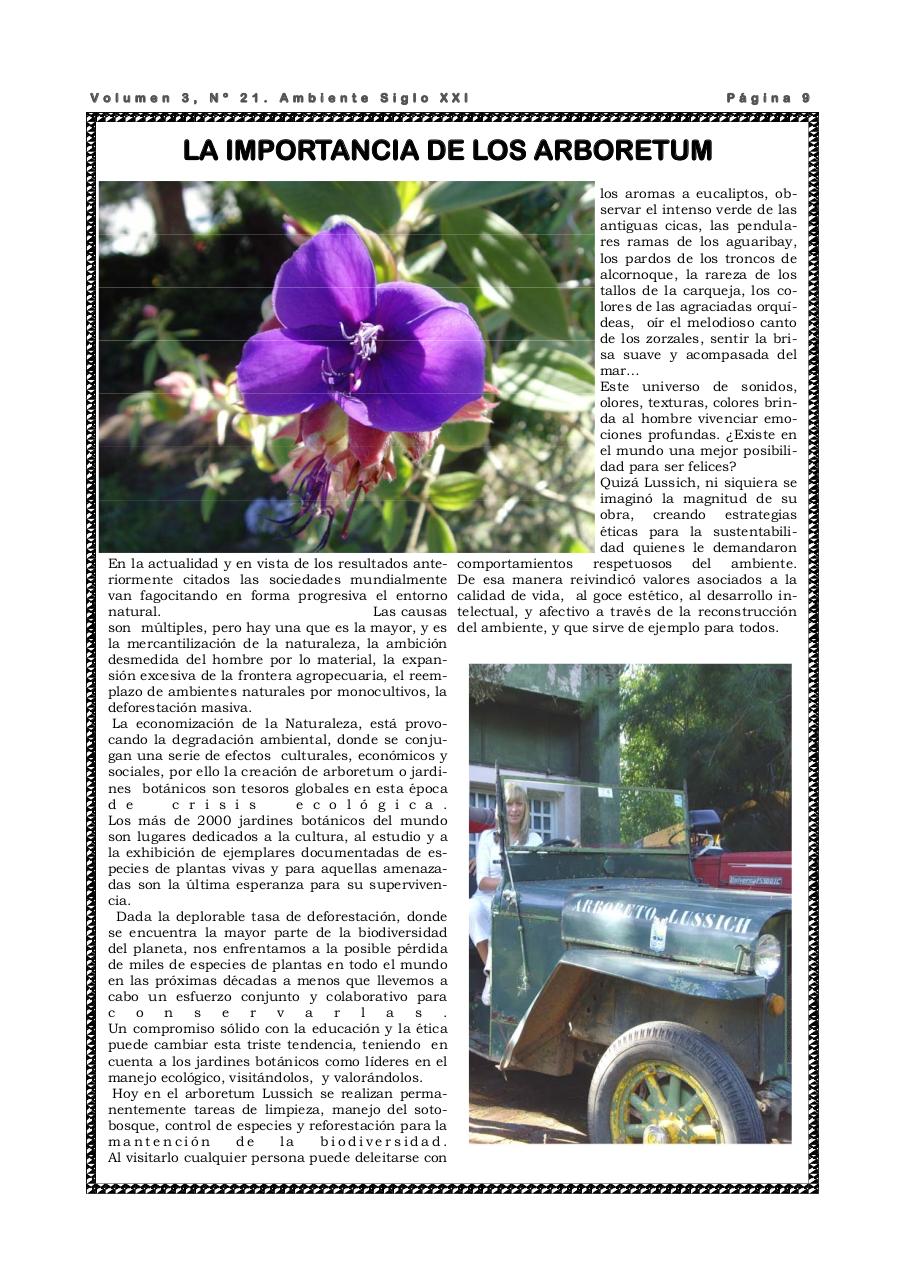 Vista previa del archivo PDF revista-ambiente-siglo-xxi-n-21-enero-2009.pdf