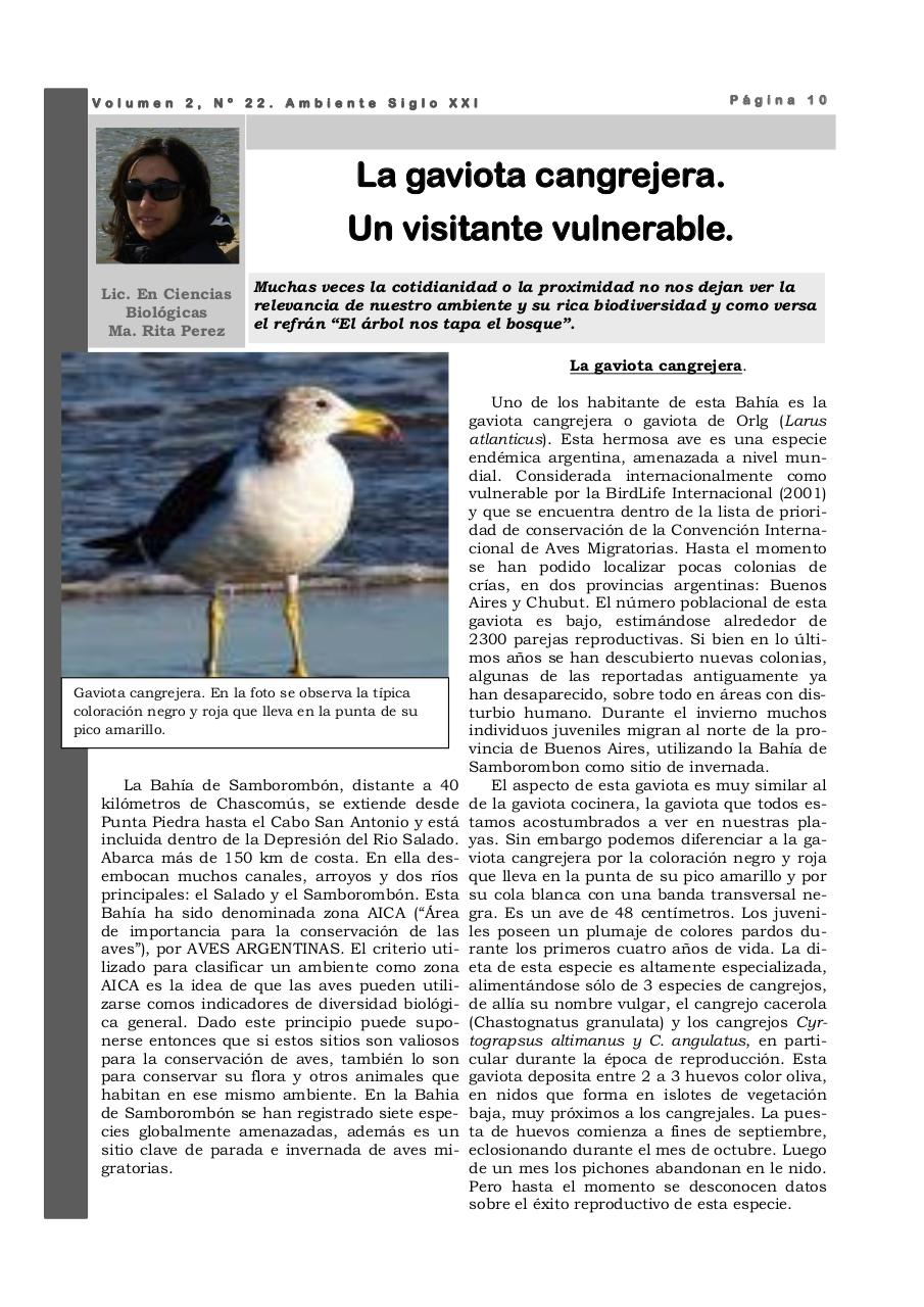 Vista previa del archivo PDF revista-ambiente-siglo-xxi-n-22.pdf