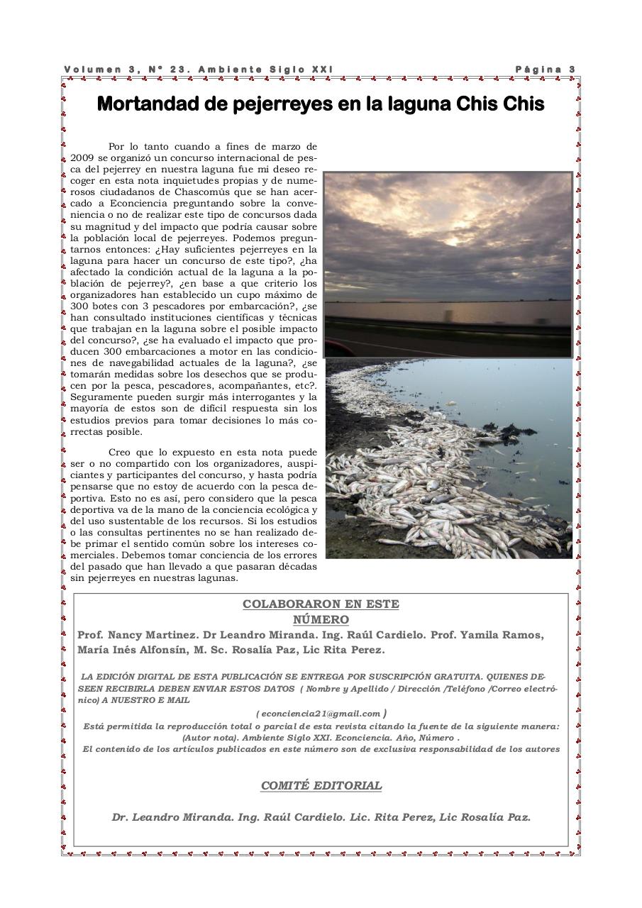 Vista previa del archivo PDF revista-ambiente-siglo-xxi-n-23-marzo-2009.pdf