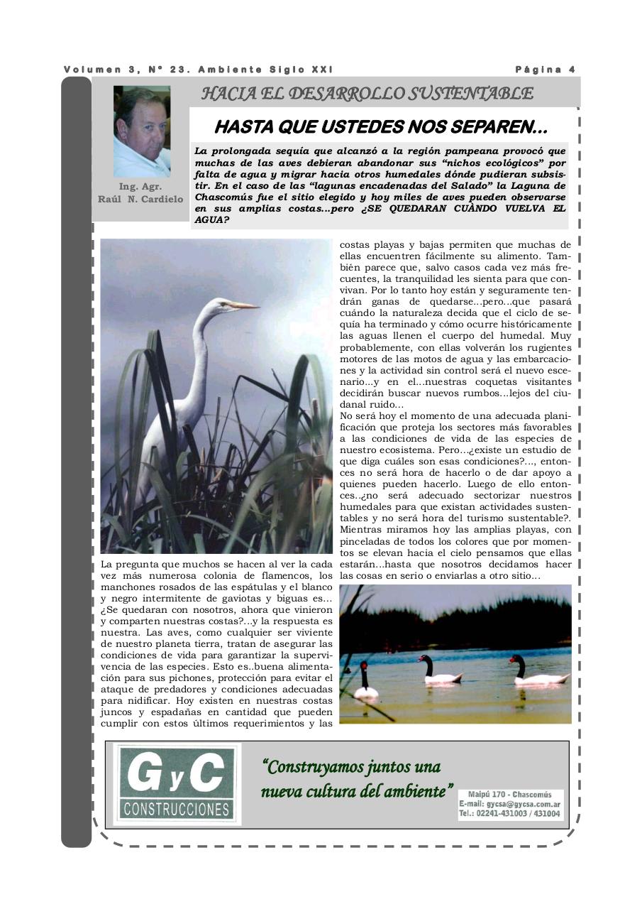Vista previa del archivo PDF revista-ambiente-siglo-xxi-n-23-marzo-2009.pdf