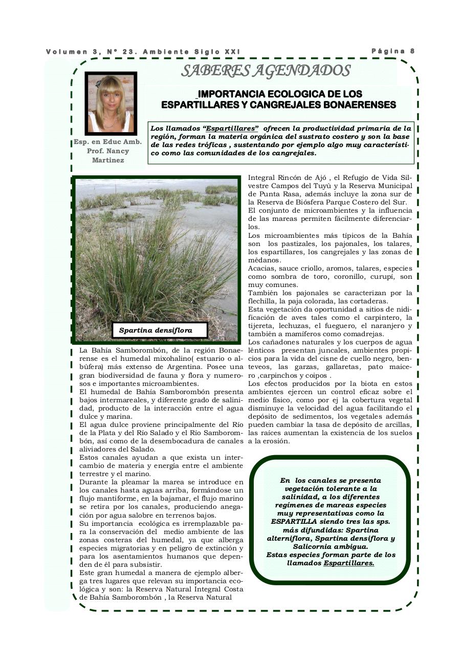 Vista previa del archivo PDF revista-ambiente-siglo-xxi-n-23-marzo-2009.pdf
