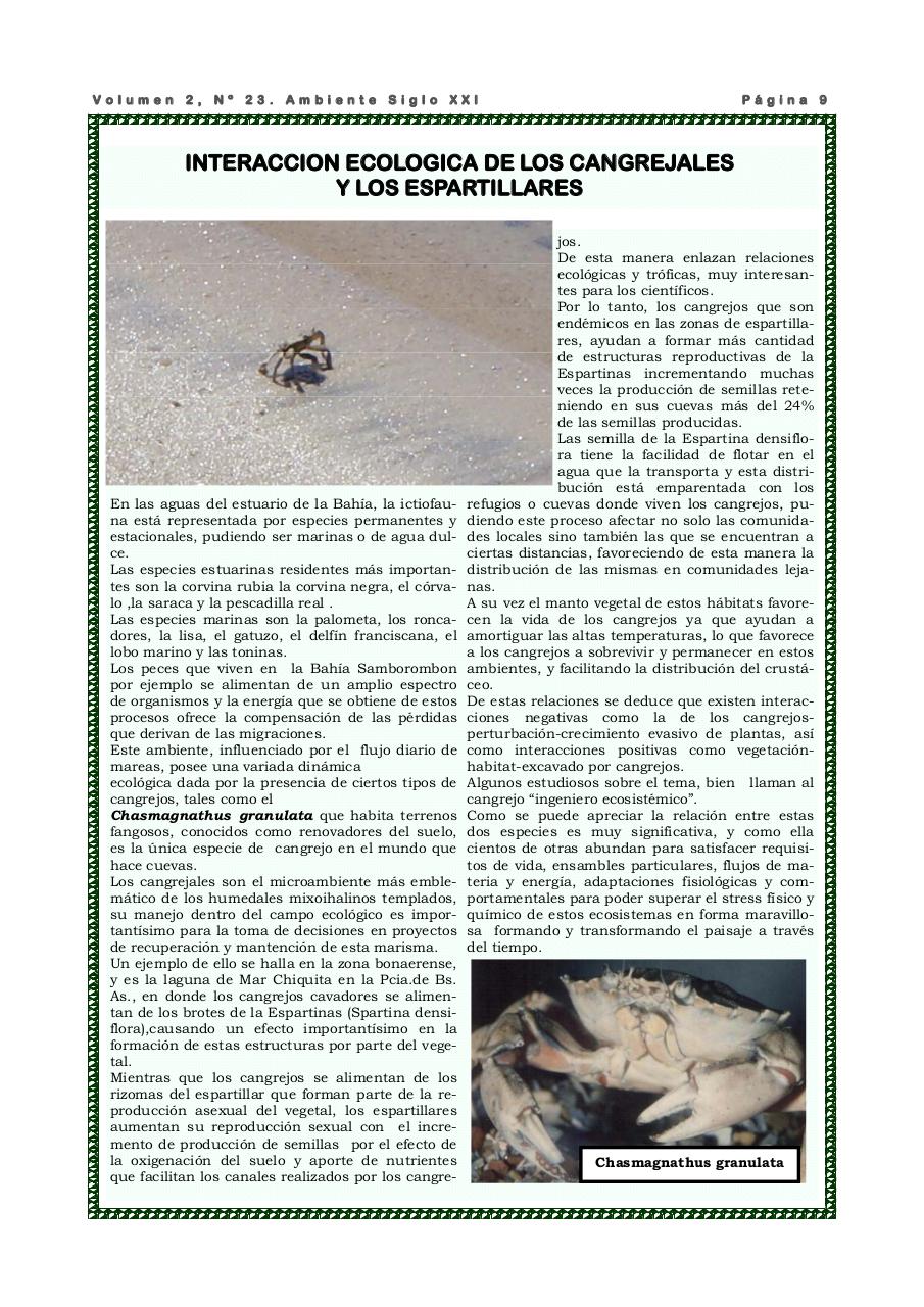Vista previa del archivo PDF revista-ambiente-siglo-xxi-n-23-marzo-2009.pdf