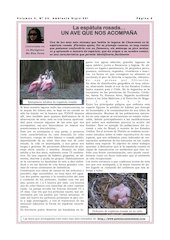 Revista Ambiente Siglo XXI. NÂ° 23.marzo 2009.pdf - página 5/12