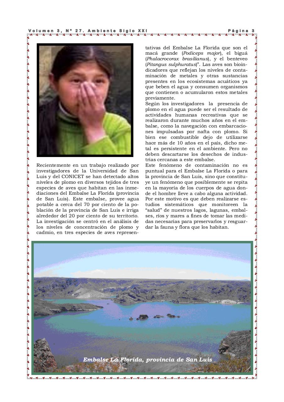 Vista previa del archivo PDF revista-ambiente-siglo-xxi-n-27-enero-febrero-2011.pdf