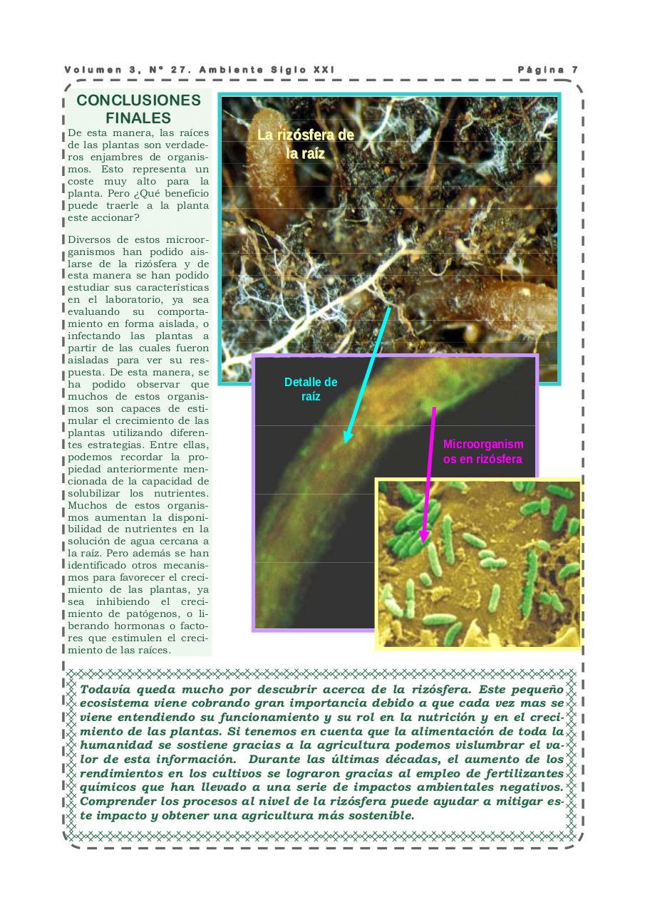 Vista previa del archivo PDF revista-ambiente-siglo-xxi-n-27-enero-febrero-2011.pdf
