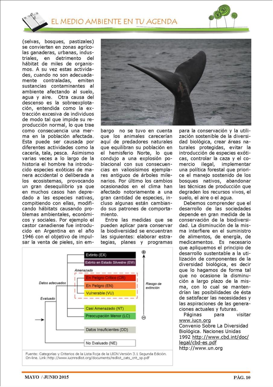 Vista previa del archivo PDF revista-ambiente-siglo-xxi-n-28-abril-mayo-2015.pdf