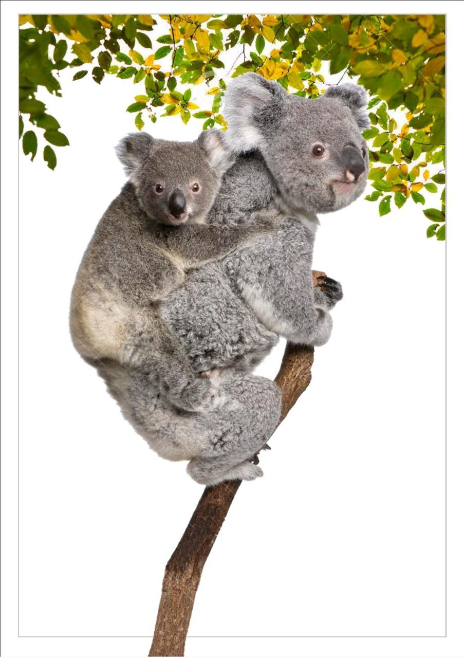 Vista previa del archivo PDF revista-ambiente-siglo-xxi-n-28-abril-mayo-2015.pdf