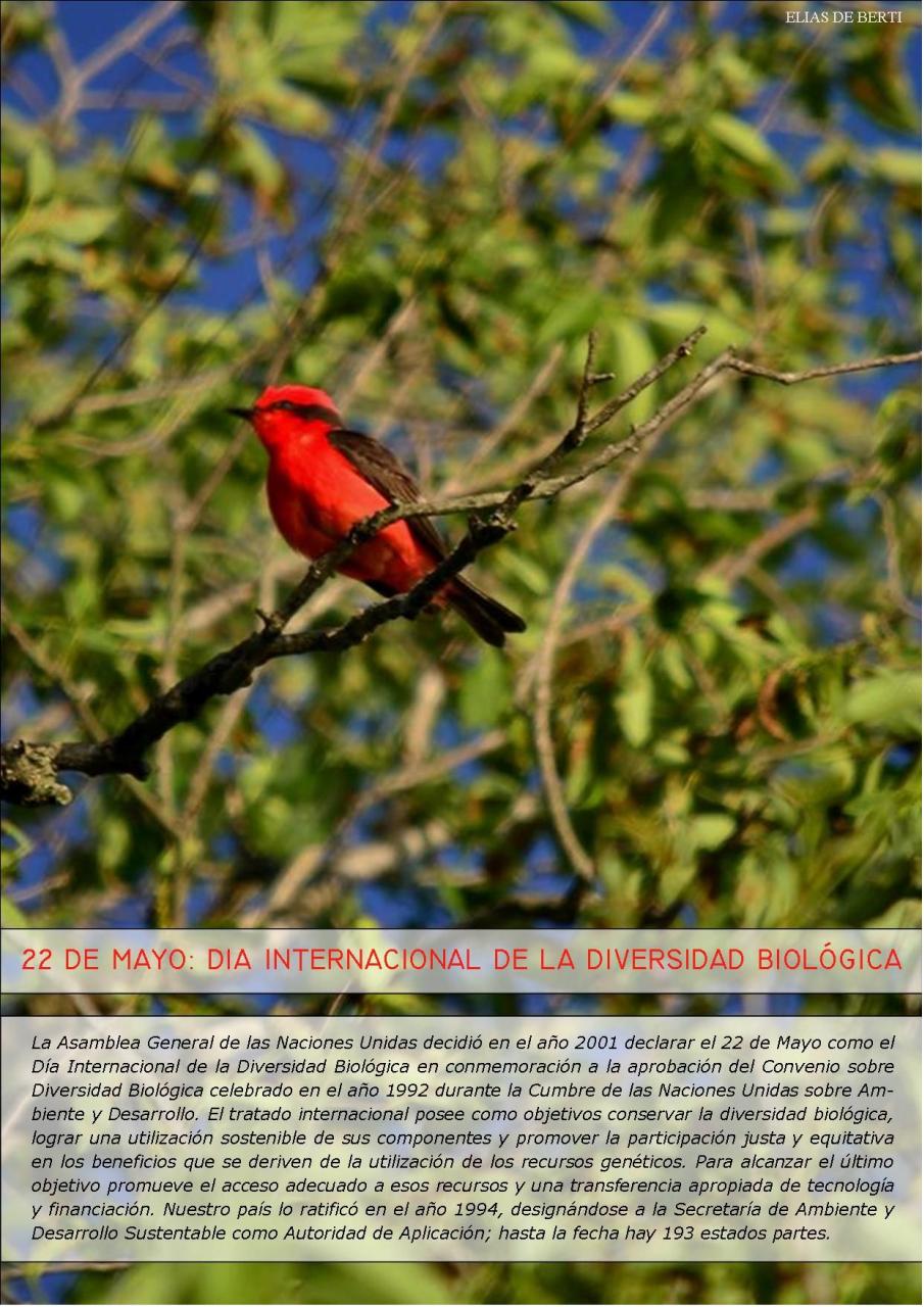 Vista previa del archivo PDF revista-ambiente-siglo-xxi-n-28-abril-mayo-2015.pdf
