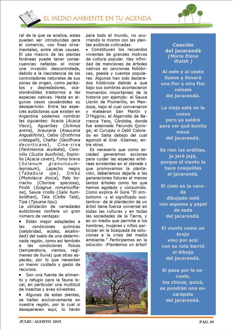 Vista previa del archivo PDF revista-ambiente-siglo-xxi-n-29-julio-agosto.pdf