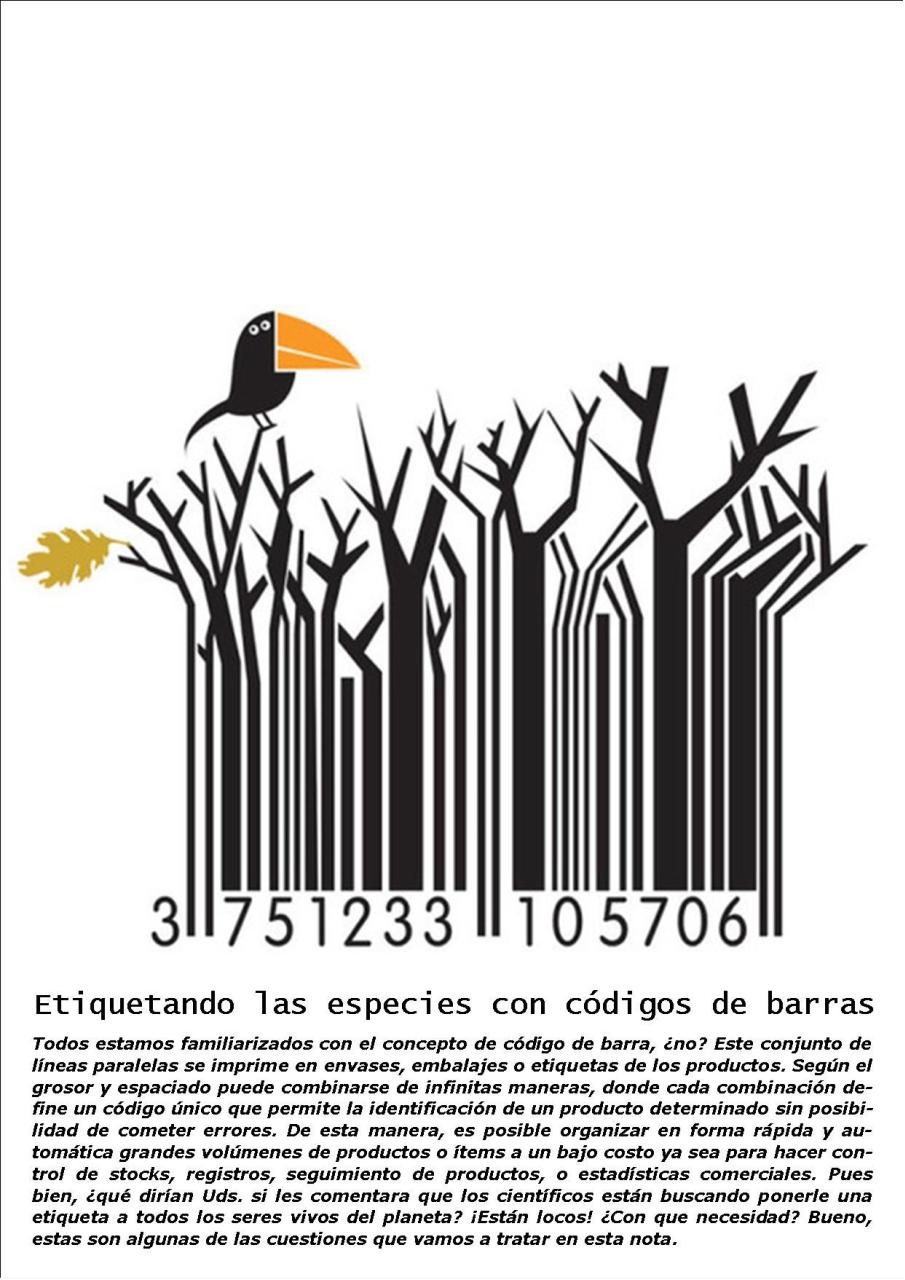 Vista previa del archivo PDF revista-ambiente-siglo-xxi-n-29-julio-agosto.pdf
