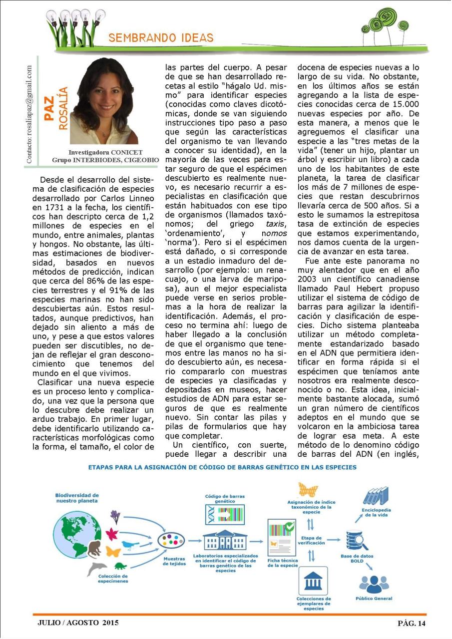 Vista previa del archivo PDF revista-ambiente-siglo-xxi-n-29-julio-agosto.pdf