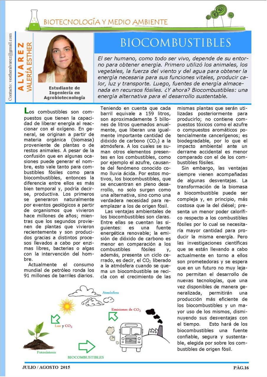 Vista previa del archivo PDF revista-ambiente-siglo-xxi-n-29-julio-agosto.pdf