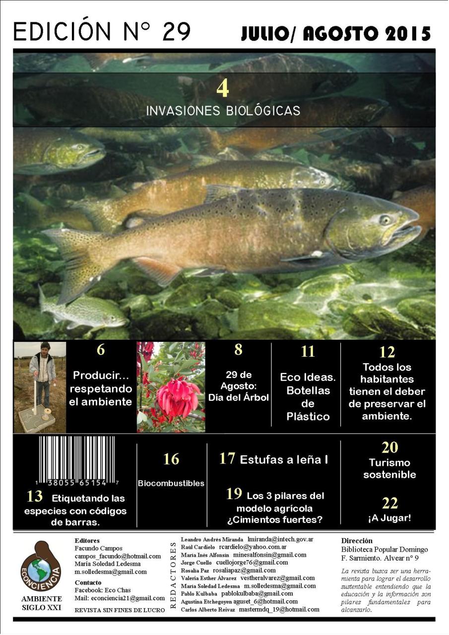 Vista previa del archivo PDF revista-ambiente-siglo-xxi-n-29-julio-agosto.pdf