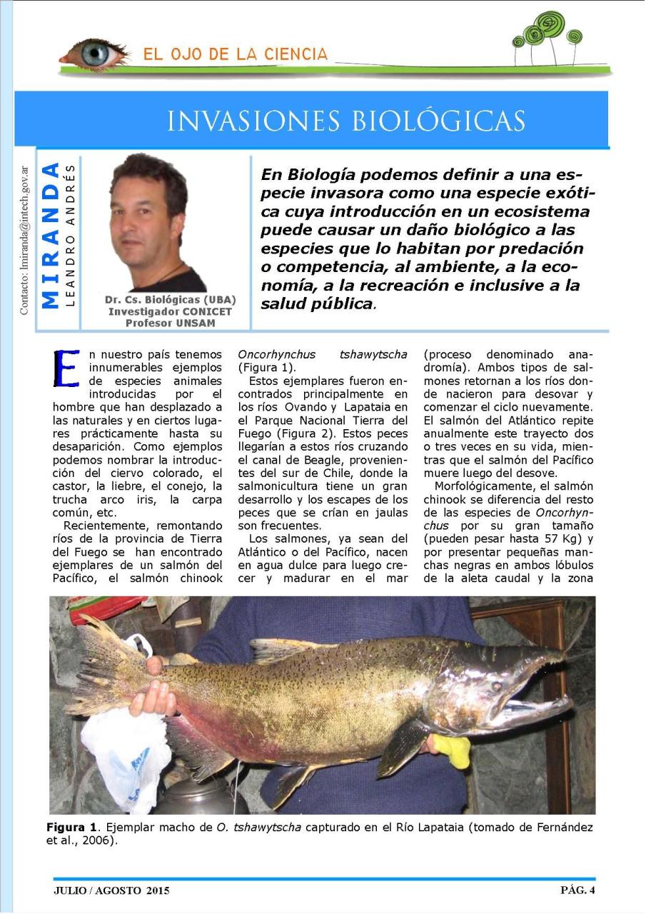 Vista previa del archivo PDF revista-ambiente-siglo-xxi-n-29-julio-agosto.pdf