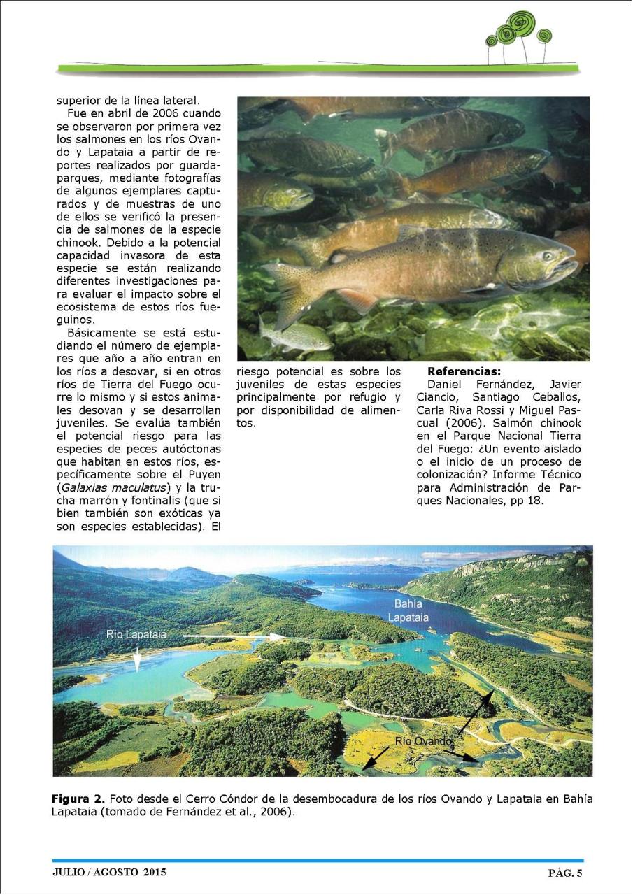 Vista previa del archivo PDF revista-ambiente-siglo-xxi-n-29-julio-agosto.pdf