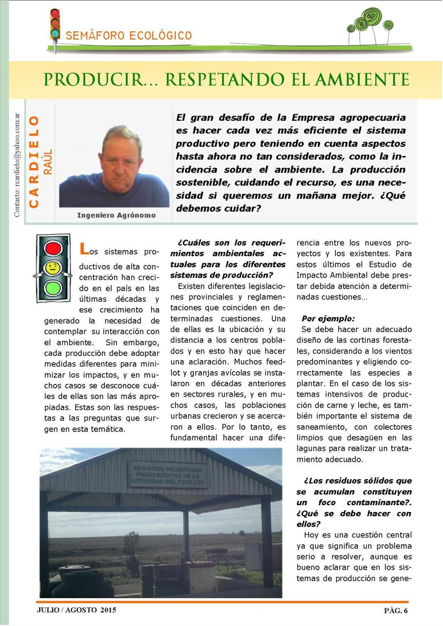 Vista previa del archivo PDF revista-ambiente-siglo-xxi-n-29-julio-agosto.pdf
