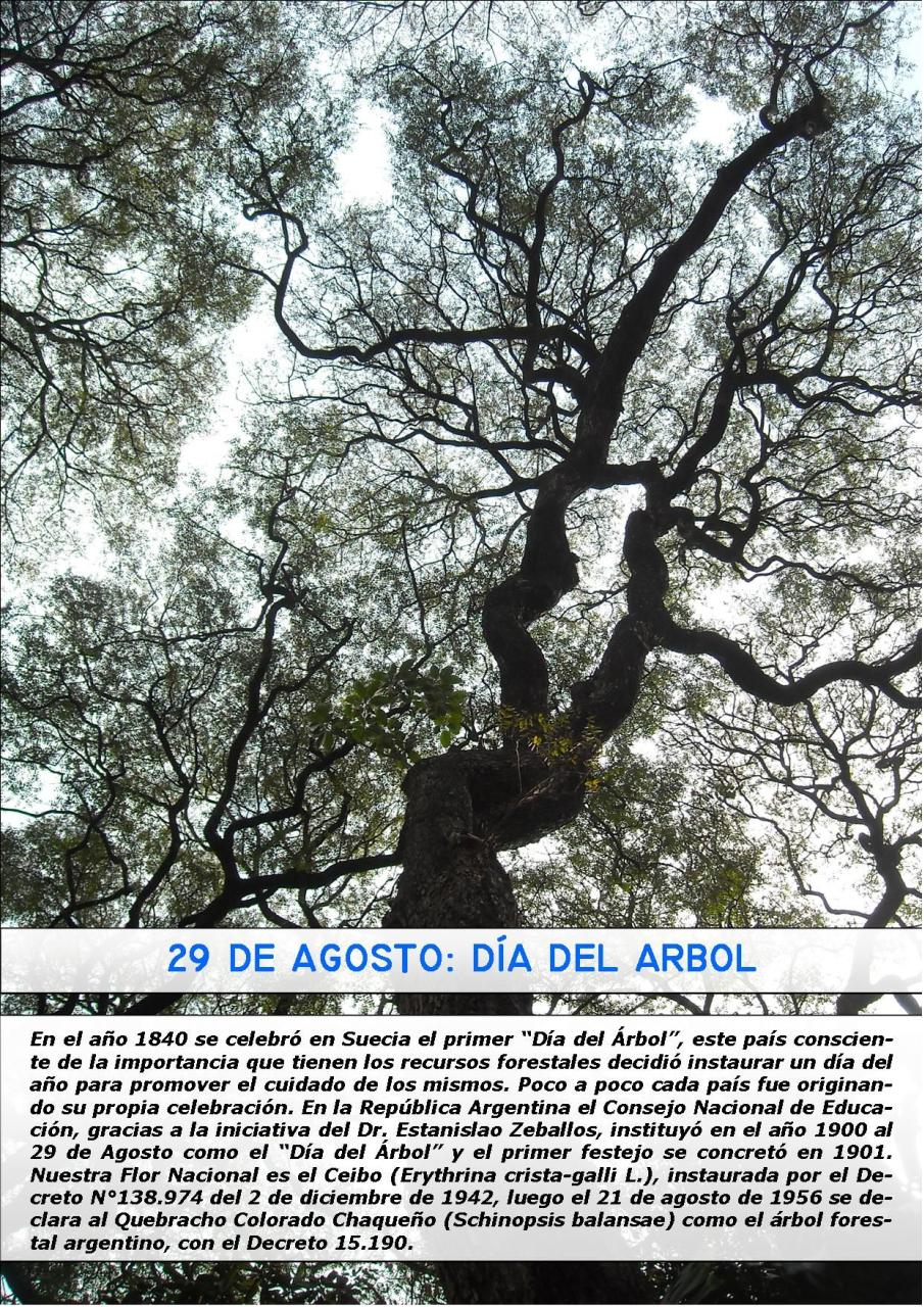 Vista previa del archivo PDF revista-ambiente-siglo-xxi-n-29-julio-agosto.pdf