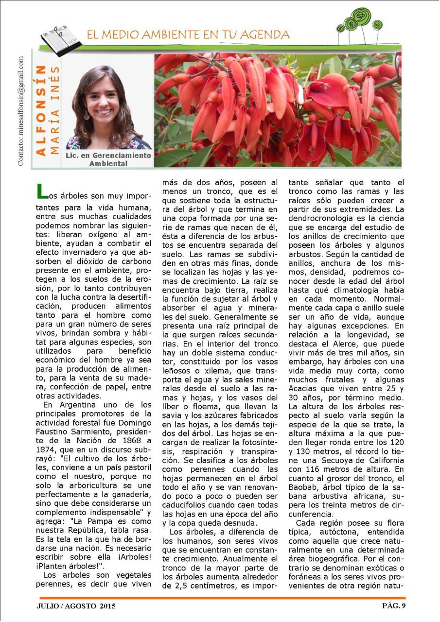 Vista previa del archivo PDF revista-ambiente-siglo-xxi-n-29-julio-agosto.pdf