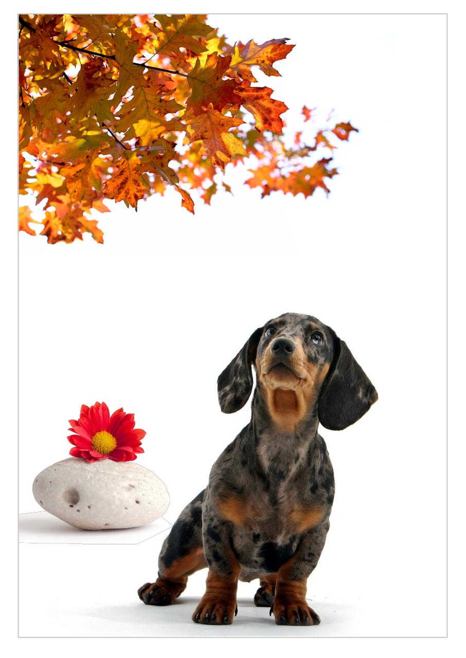 Vista previa del archivo PDF revista-ambiente-siglo-xxi-n-30-septiembre-octubre.pdf