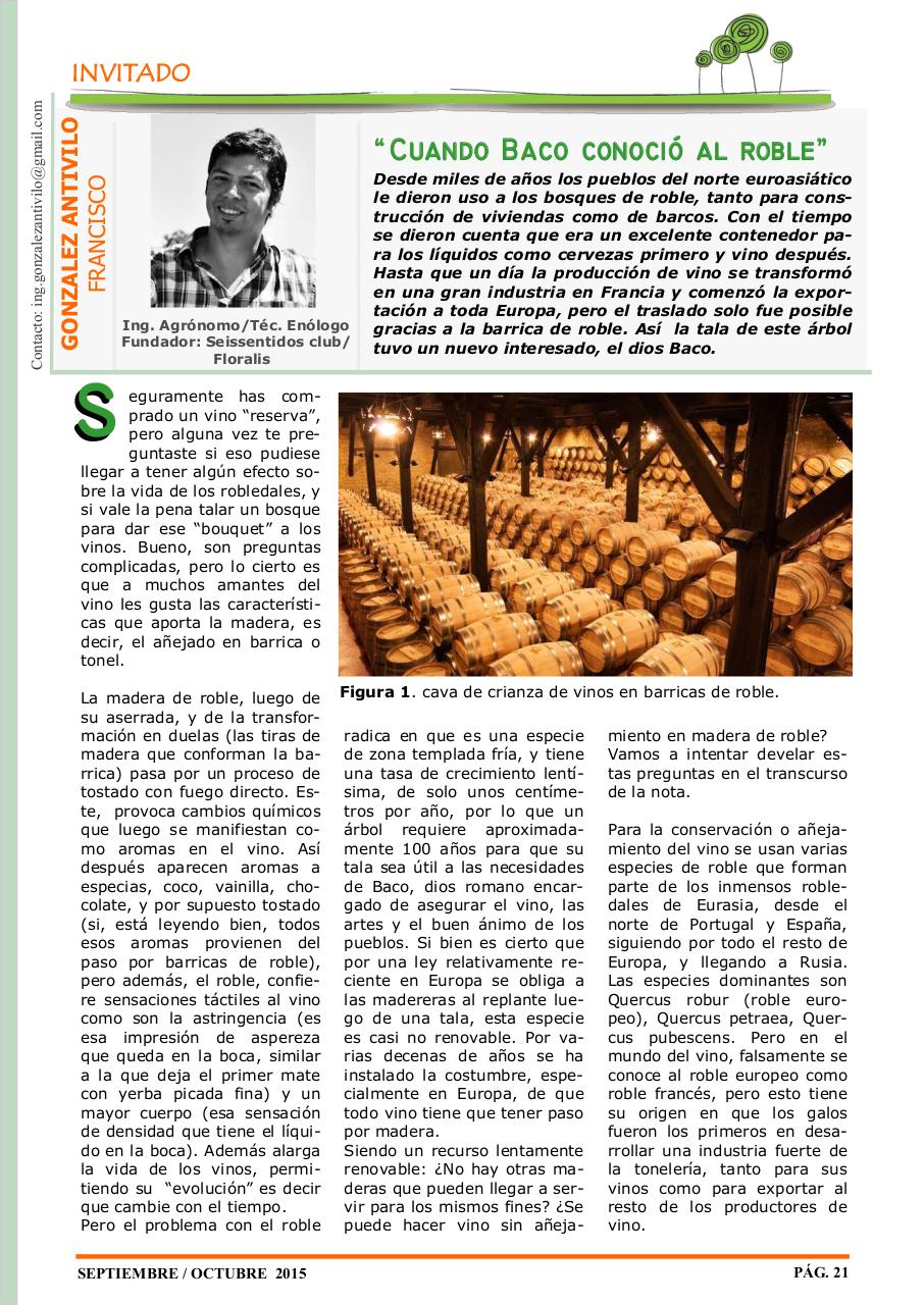 Vista previa del archivo PDF revista-ambiente-siglo-xxi-n-30-septiembre-octubre.pdf
