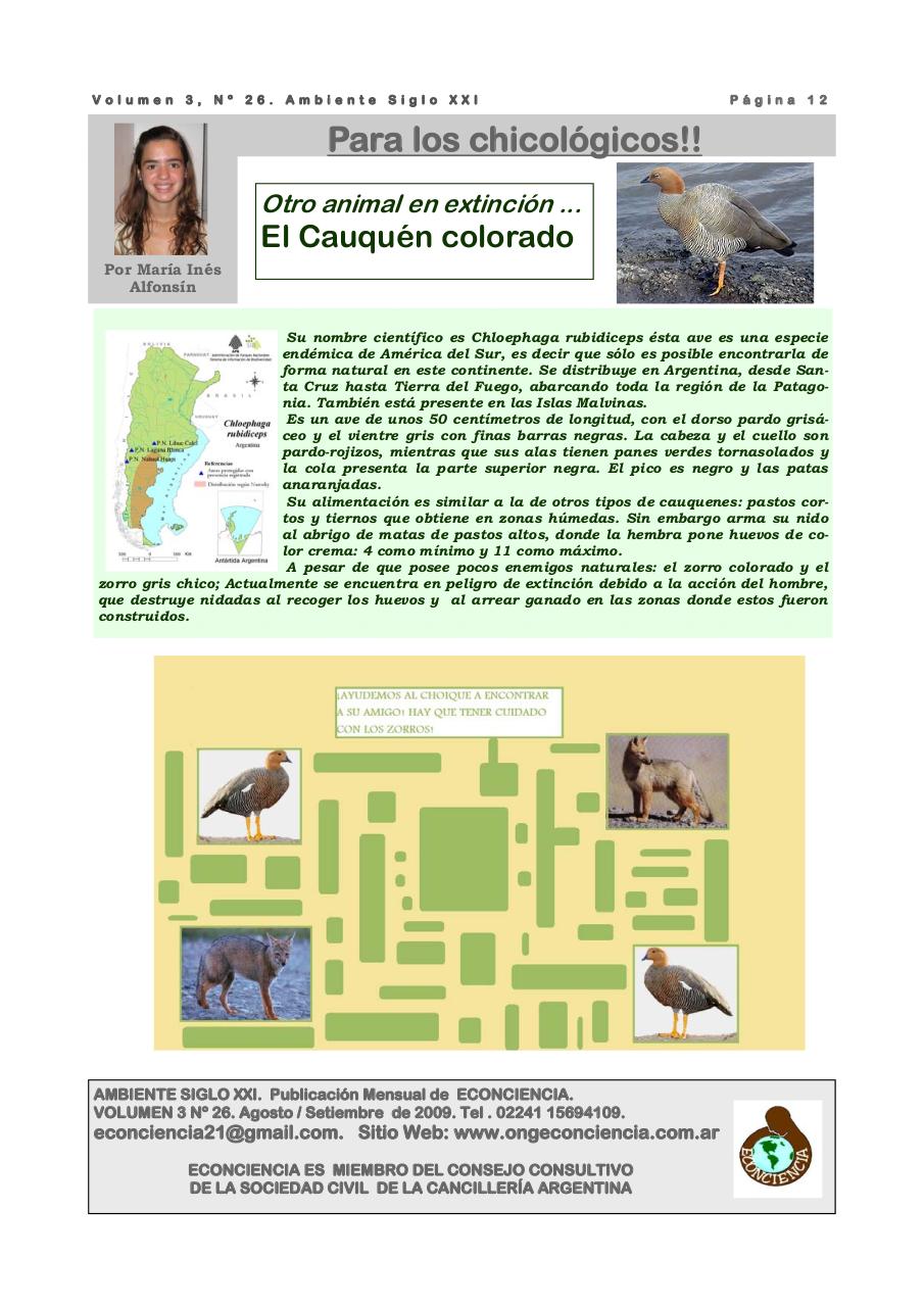 Vista previa del archivo PDF revista-ambiente-siglo-xxi-n-26.pdf