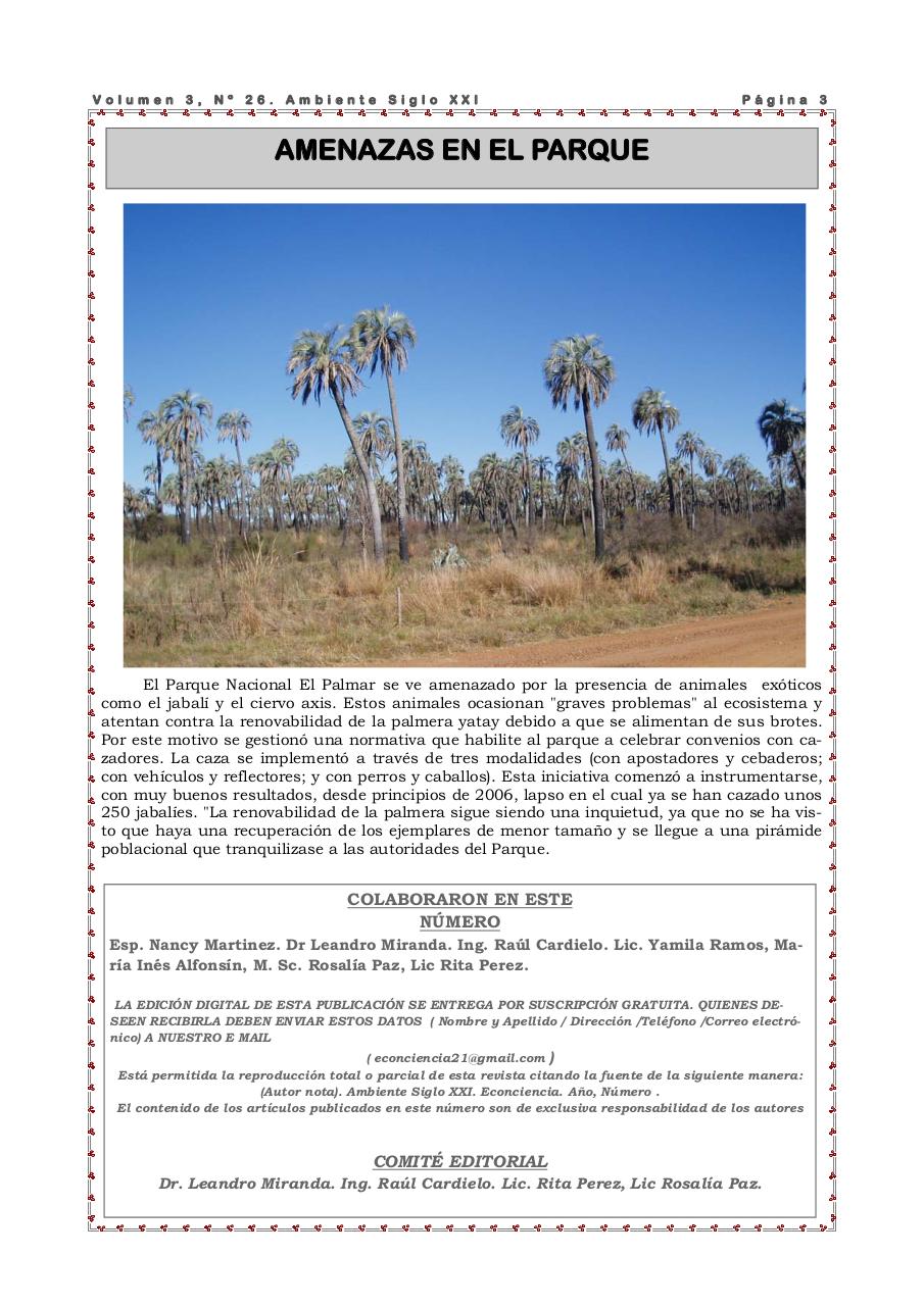 Vista previa del archivo PDF revista-ambiente-siglo-xxi-n-26.pdf