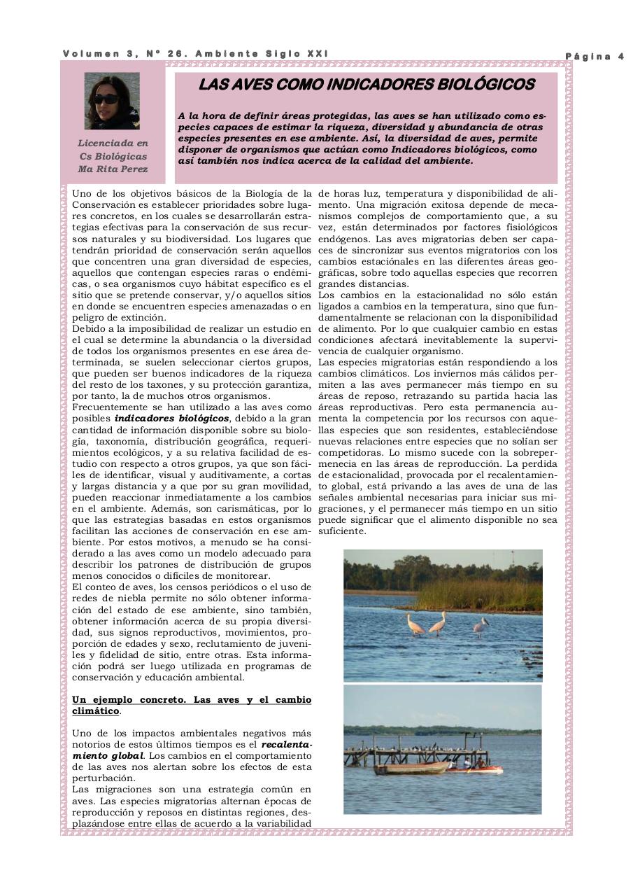 Vista previa del archivo PDF revista-ambiente-siglo-xxi-n-26.pdf