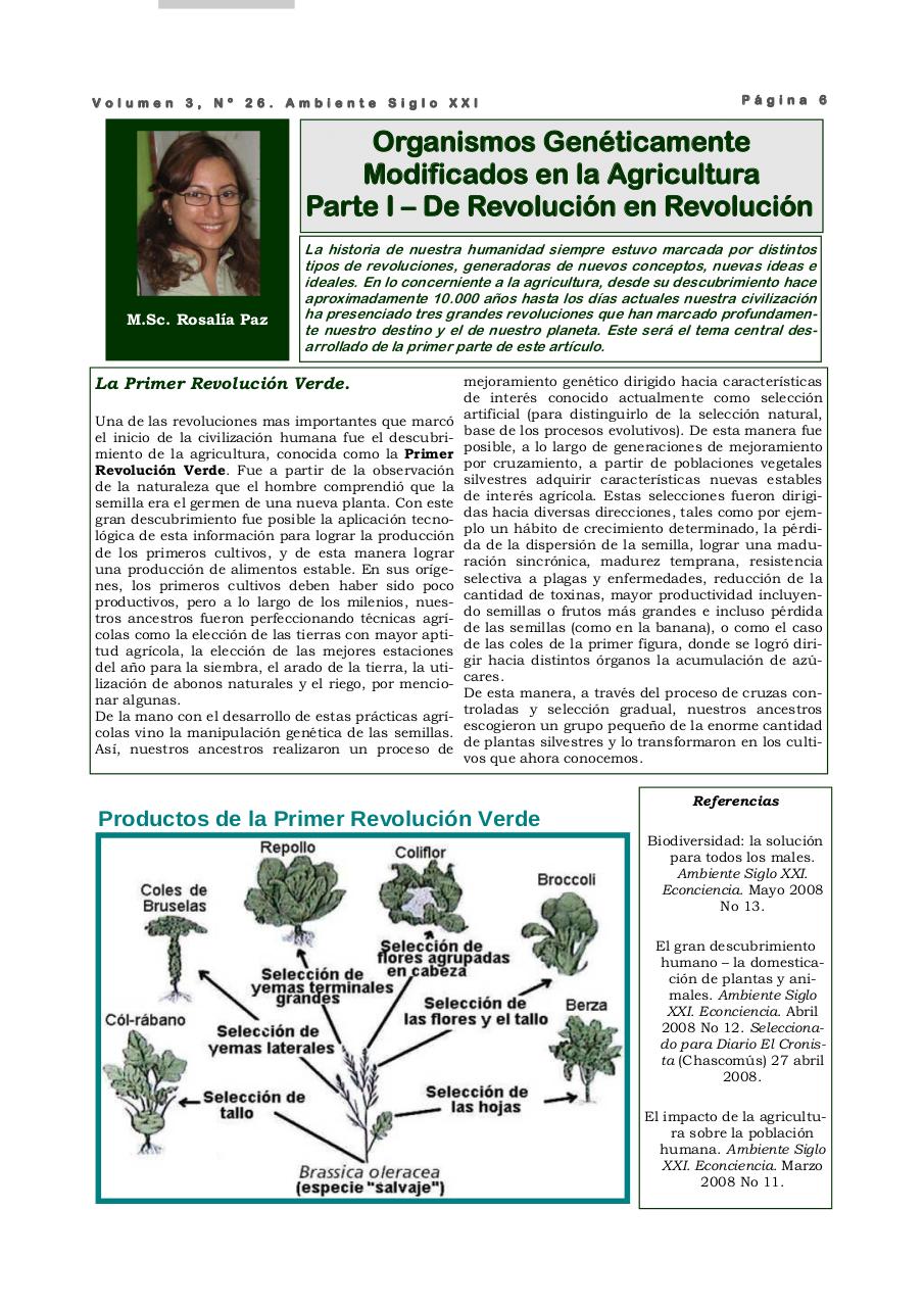 Vista previa del archivo PDF revista-ambiente-siglo-xxi-n-26.pdf