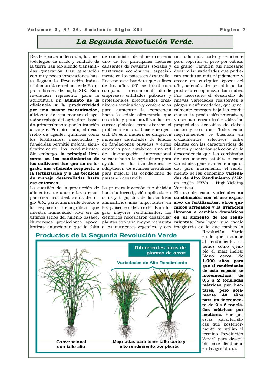 Vista previa del archivo PDF revista-ambiente-siglo-xxi-n-26.pdf