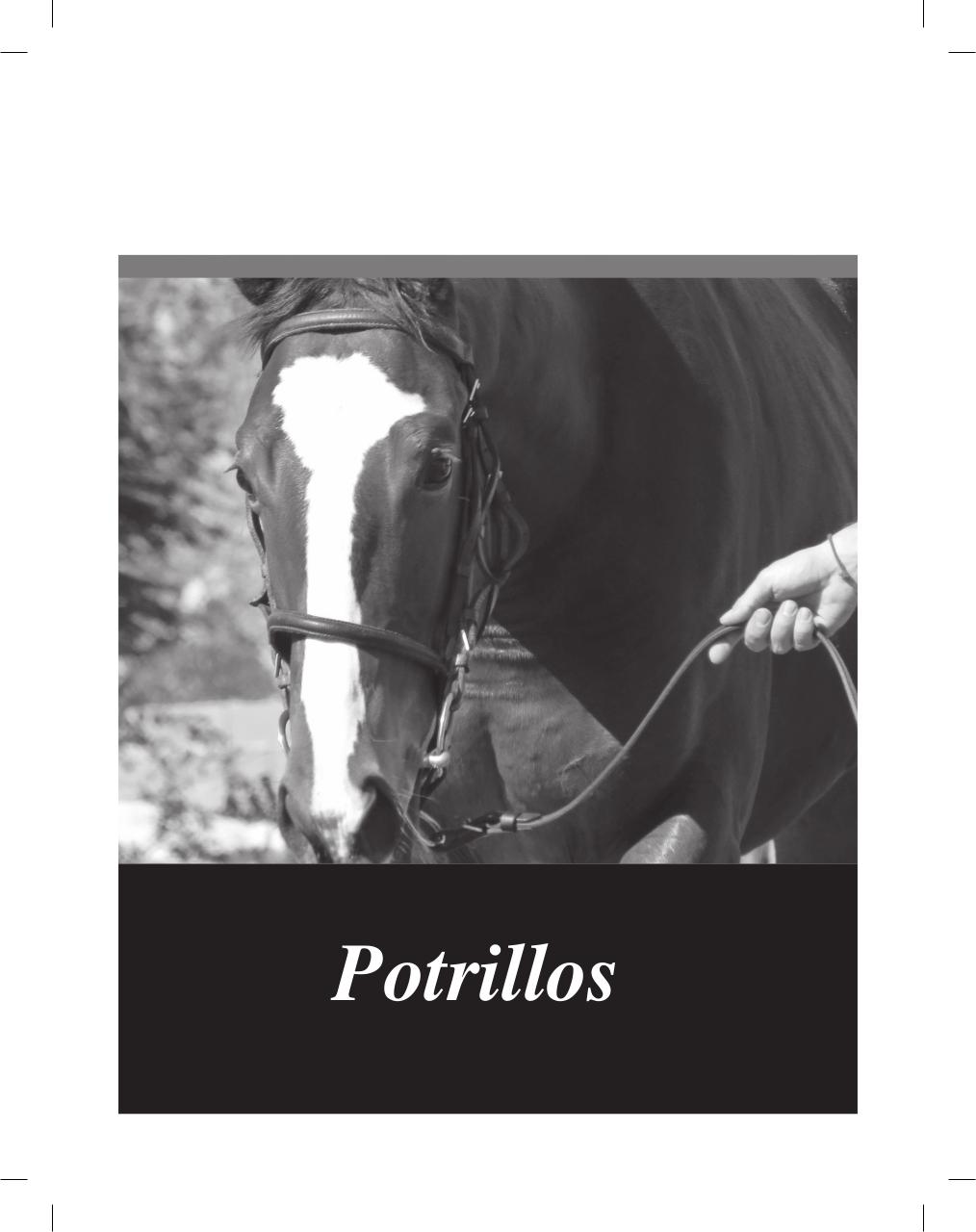 Vista previa del archivo PDF cuadernillo2016-alta-arsa.pdf