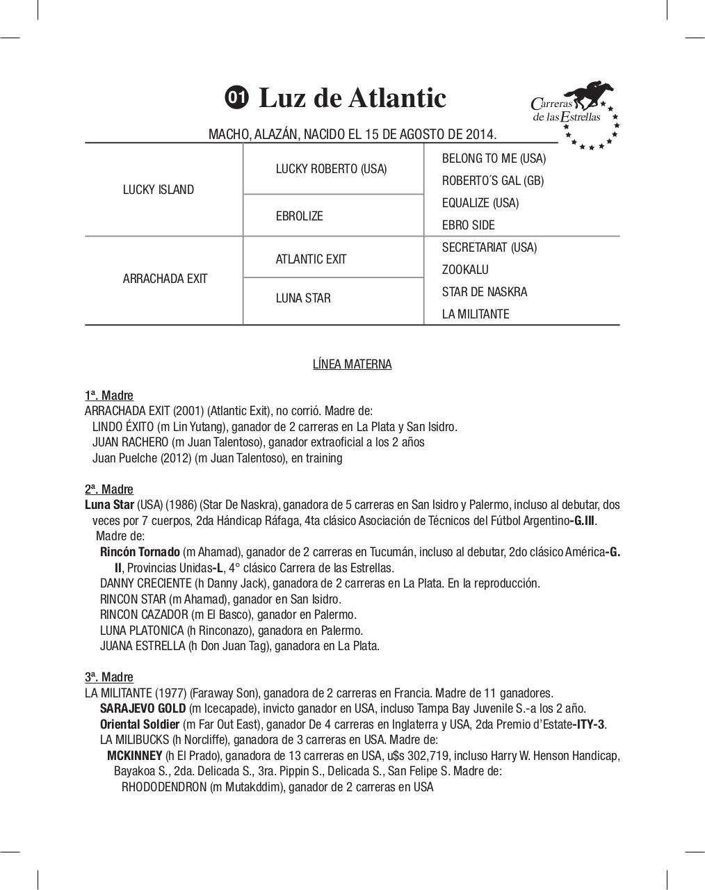 Vista previa del archivo PDF cuadernillo2016-alta-arsa.pdf