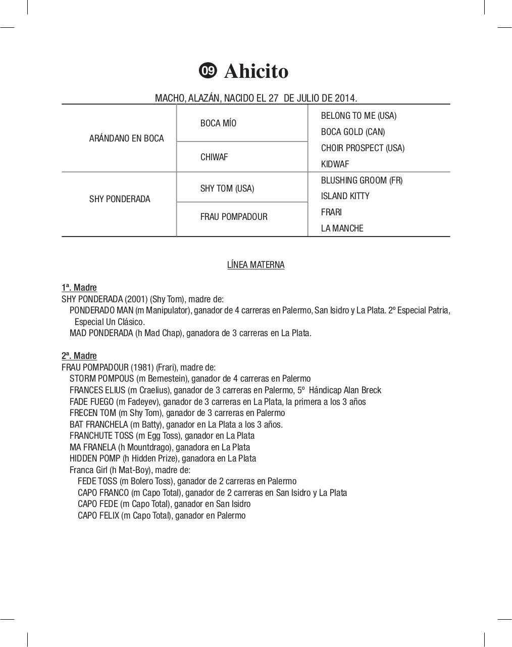 Vista previa del archivo PDF cuadernillo2016-alta-arsa.pdf